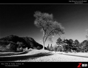 DSC_6063（黑白）