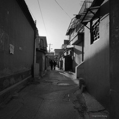 006.jpg