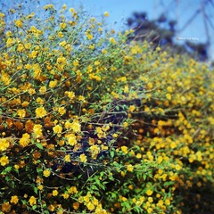 img002.jpg