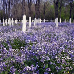 img004.jpg