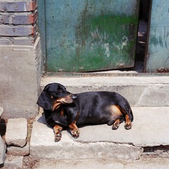 img005.jpg