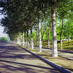 img006.jpg