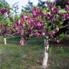 img008.jpg