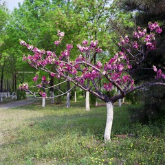img009.jpg