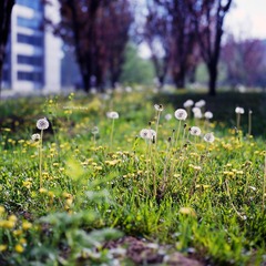 img010.jpg