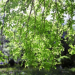 img011.jpg