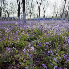 img010.jpg