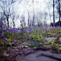 img012.jpg