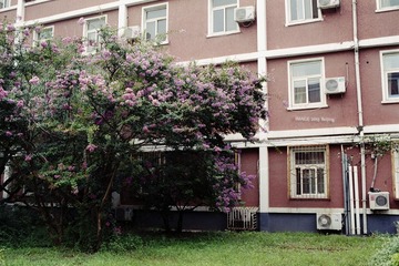img024.jpg