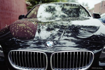 img026.jpg