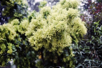 img028.jpg