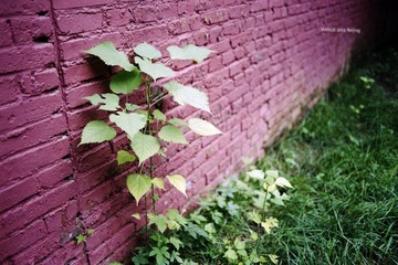 img030.jpg