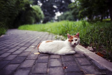img033.jpg