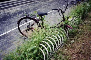 img036.jpg