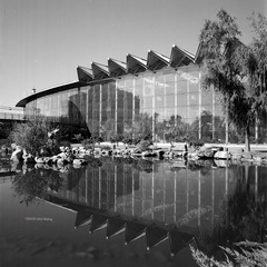 img004.jpg