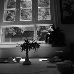 img010.jpg
