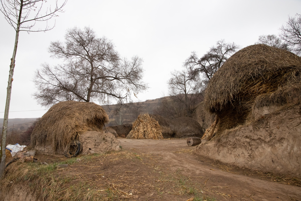 清明时节的农村故乡
