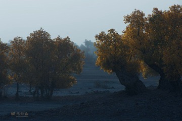 DSC_8259.jpg