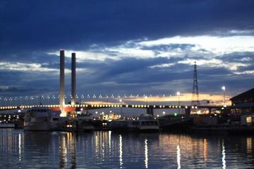 IMG_7853.JPG