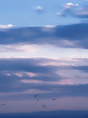 10949D3E-0D58-4579-AD83-96DCA3A159B5/L0/001