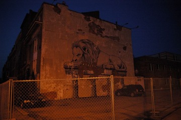 DSC_1919.jpg