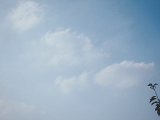 1000616818
