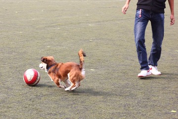 IMG_9124.JPG