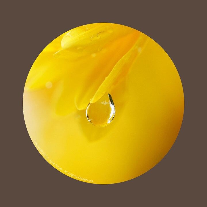 黄<br />
