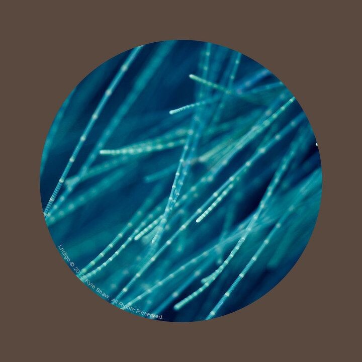 青<br />
