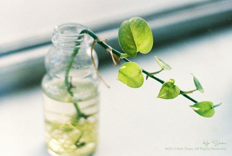 胶着.2013.03.29<br />
