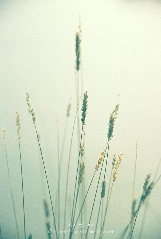 #胶着<a href="https://tuchong.com/tags/%E6%B8%85%E6%98%8E/" target="_blank">#清明</a>.02<br />
