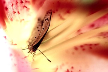照片 329.jpg