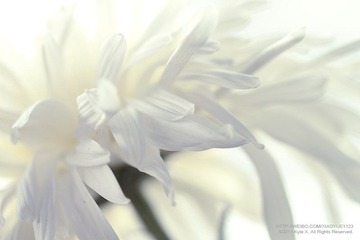 凌霜绽09.jpg
