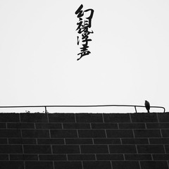 幻視浮聲13.jpg