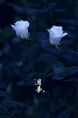 _MG_9148.JPG
