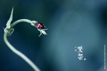 驚蟄