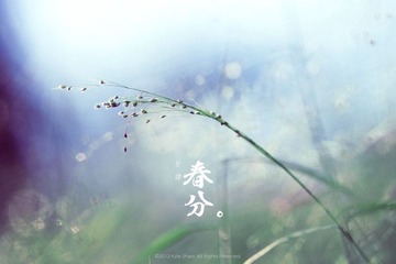 #廿肆#春分。