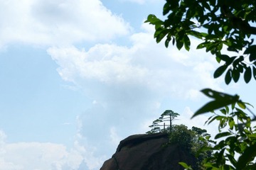 DSC007781.JPG