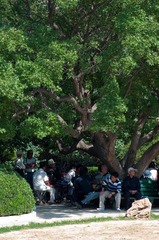 DSC_5259.jpg