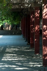DSC_5291.jpg