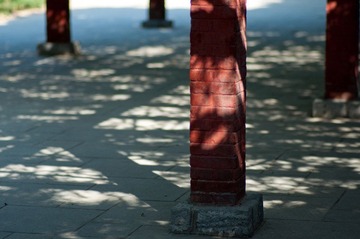 DSC_5293.jpg