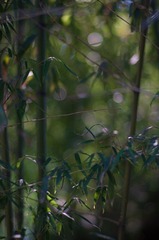 DSC_5327.jpg