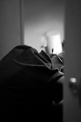 DSC_0031 (2).jpg
