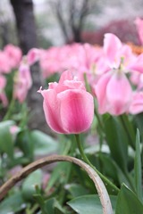 19EBB93D-C7F8-49AF-BB40-F05C238953E3/L0/001