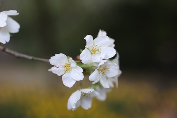 E2729201-67E5-472F-B07E-21BBFB6DFDED/L0/001