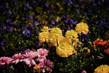 BE1A91A5-0EBD-4836-A084-60A99C1F8749/L0/001