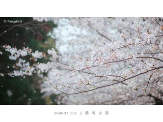 20150328-GONG1929