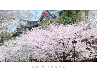 20150328-GONG1990