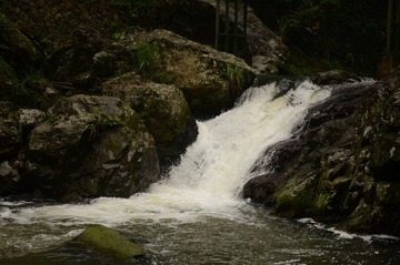 20120513-设计院皇帝洞踏青-156.jpg