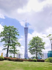 D499561A-E987-44F8-8071-374C5CA31C26/L0/001